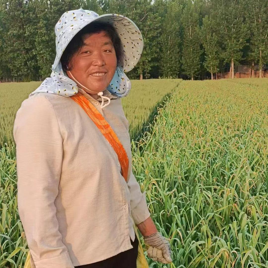 河南董姐