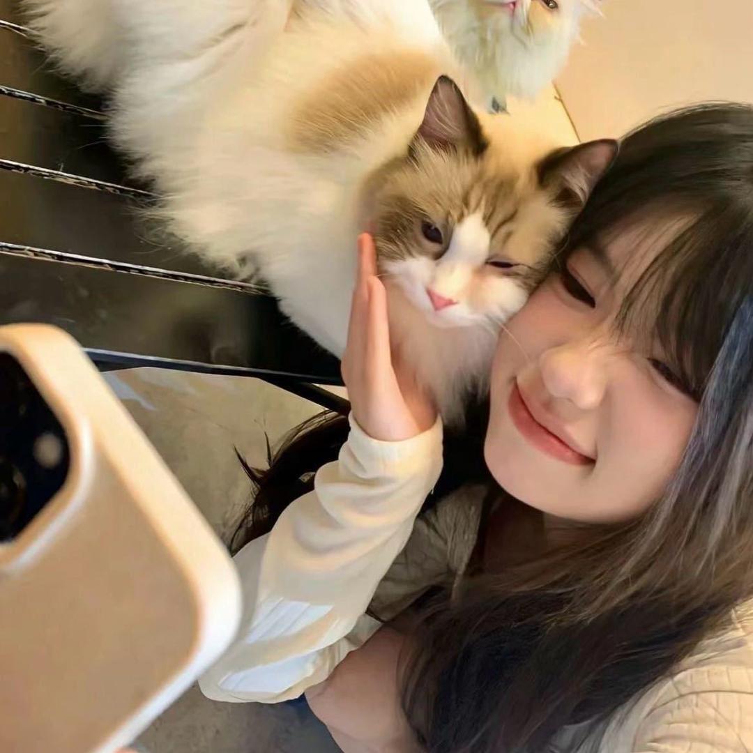 条条