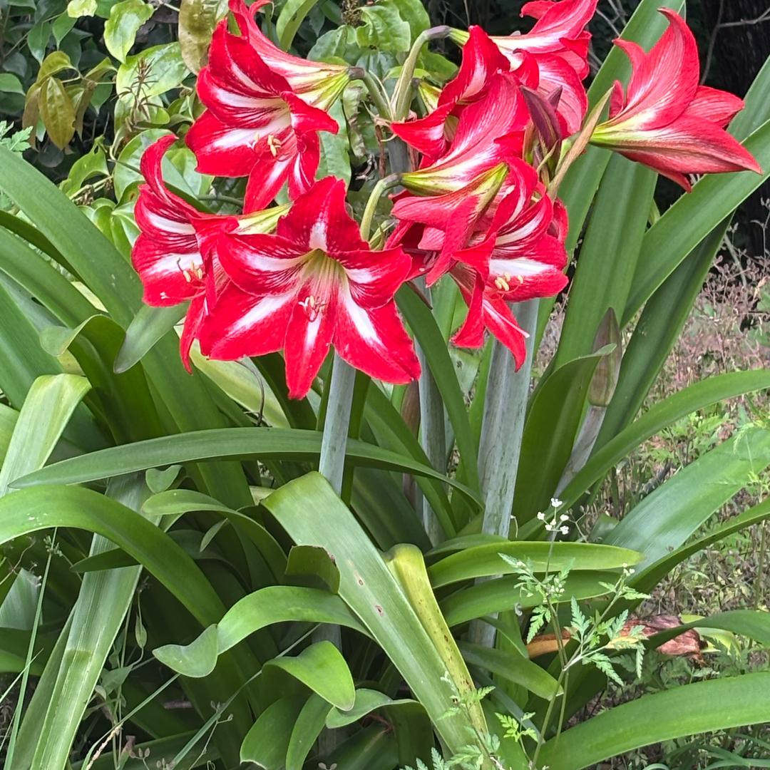 惬意分享记、田建川