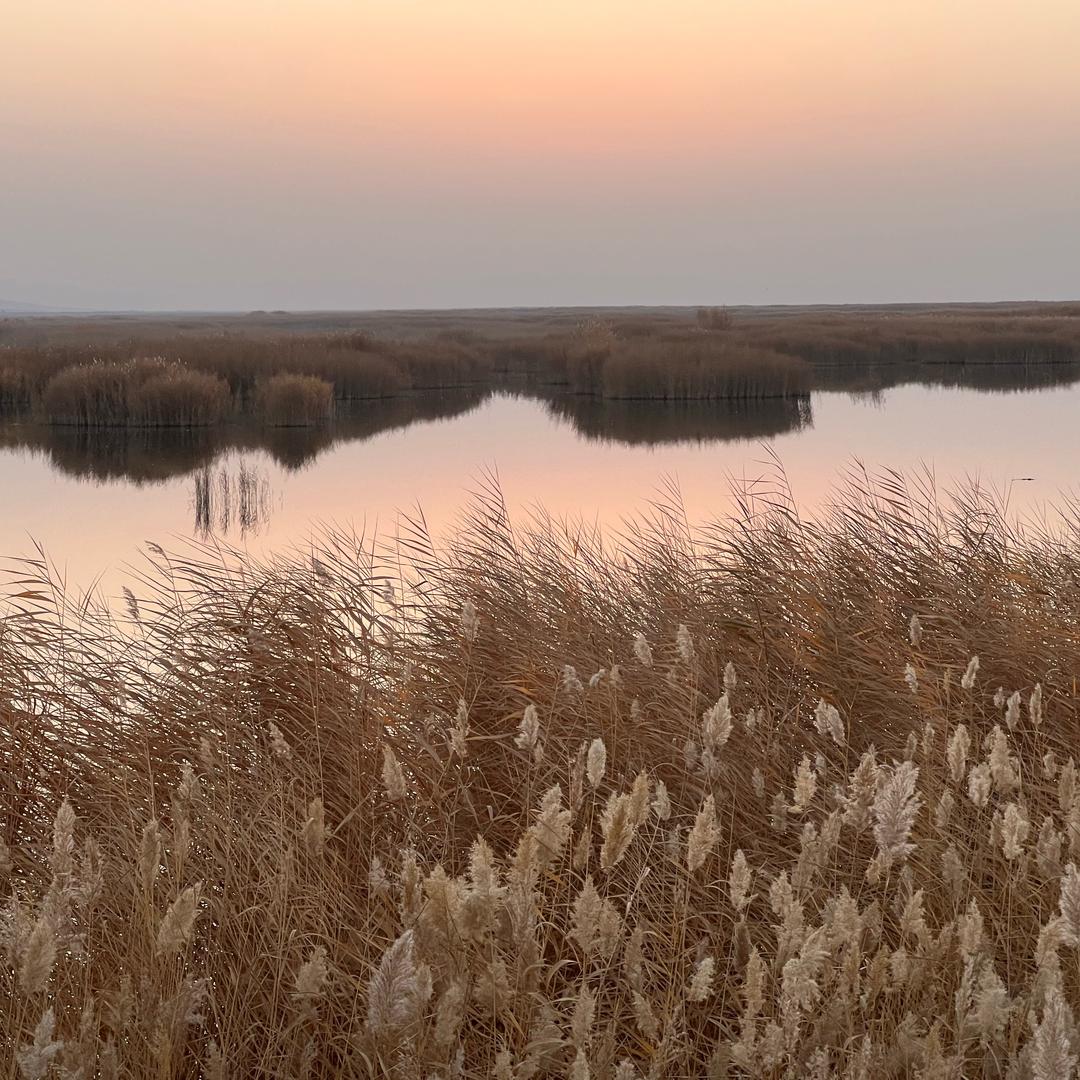 HYY（西部计划版）