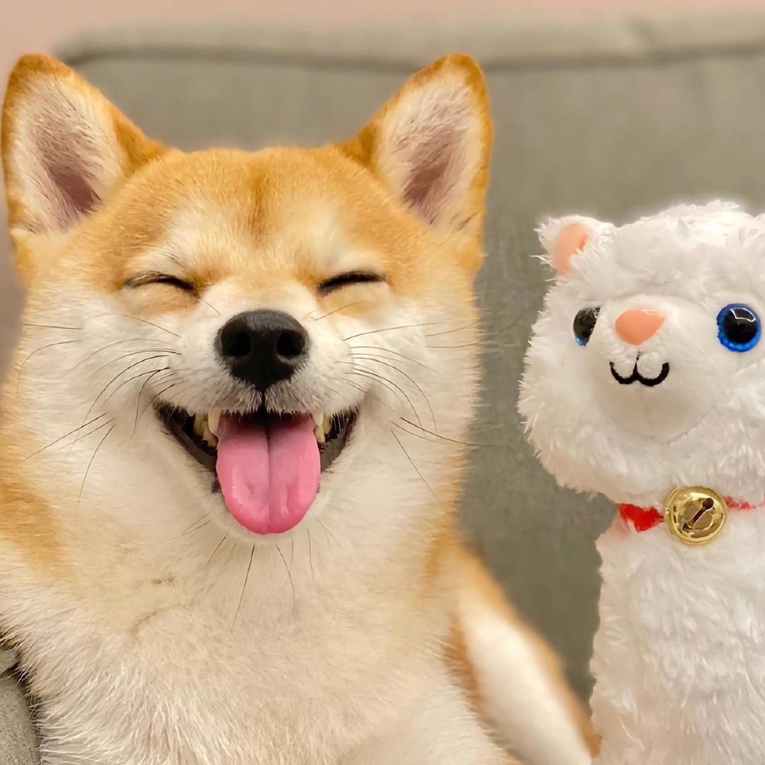 神一般