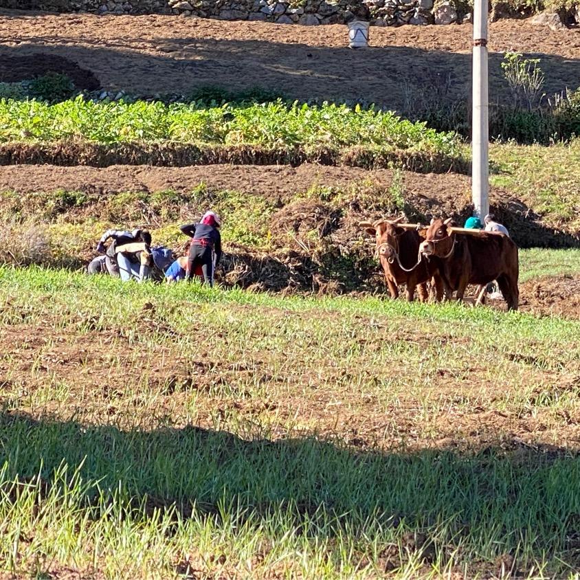 小卢附子当归精选店