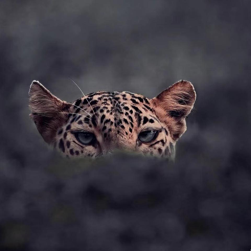 hello_