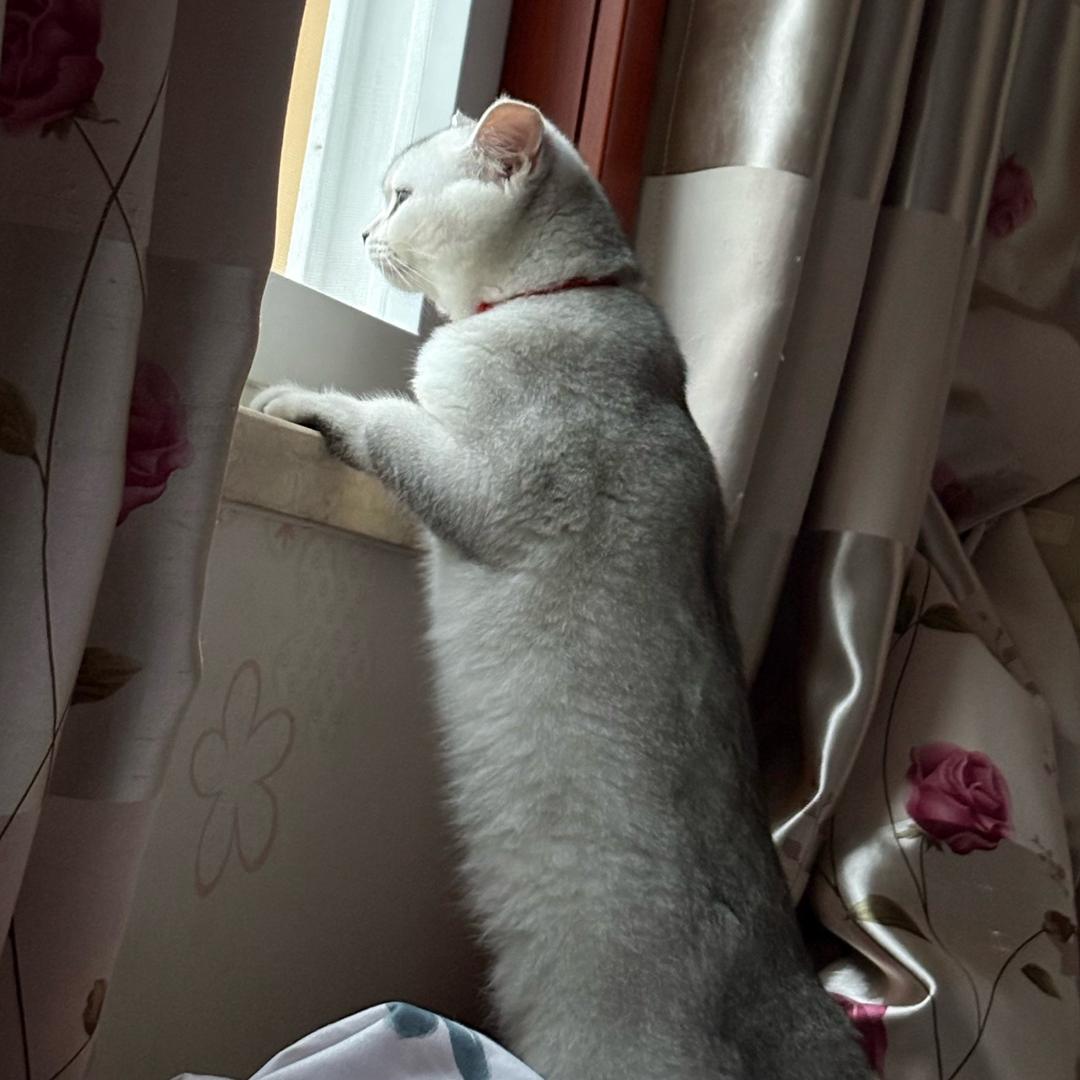 用户123455678890？nm