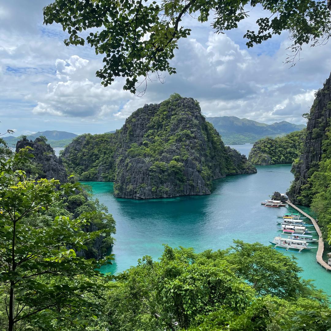 精选好物种草。