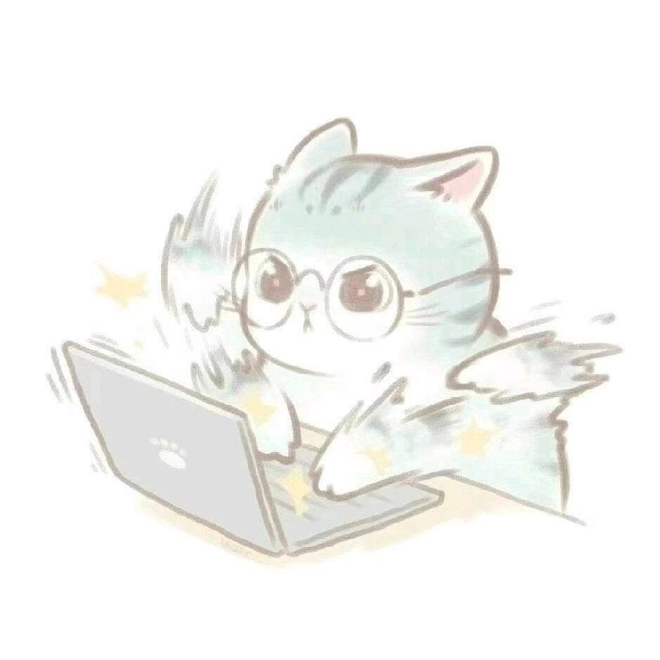 小白