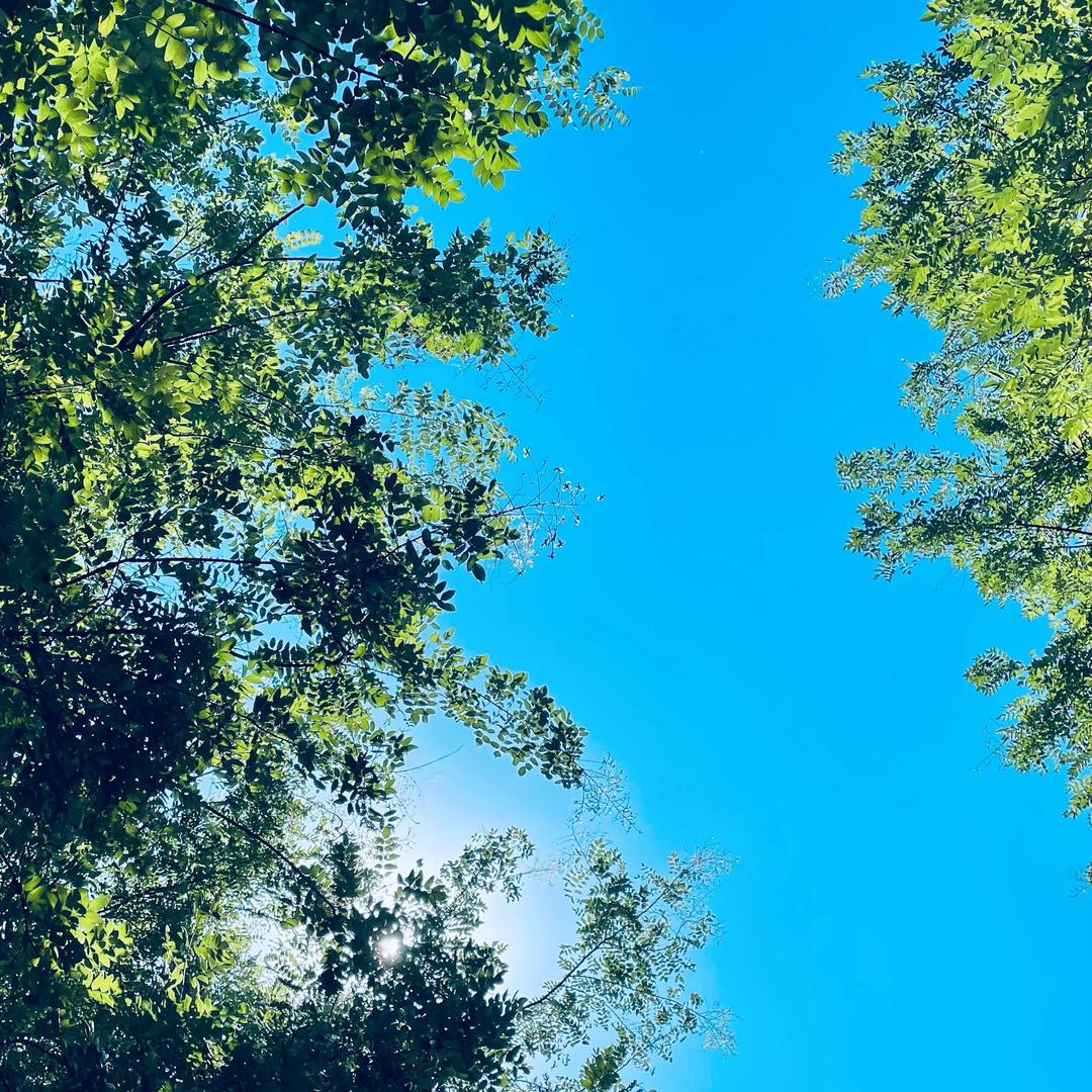 🌈泰 🎶  🍖  💪🏻