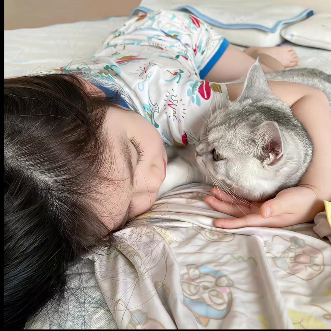 桐痛桐疼
