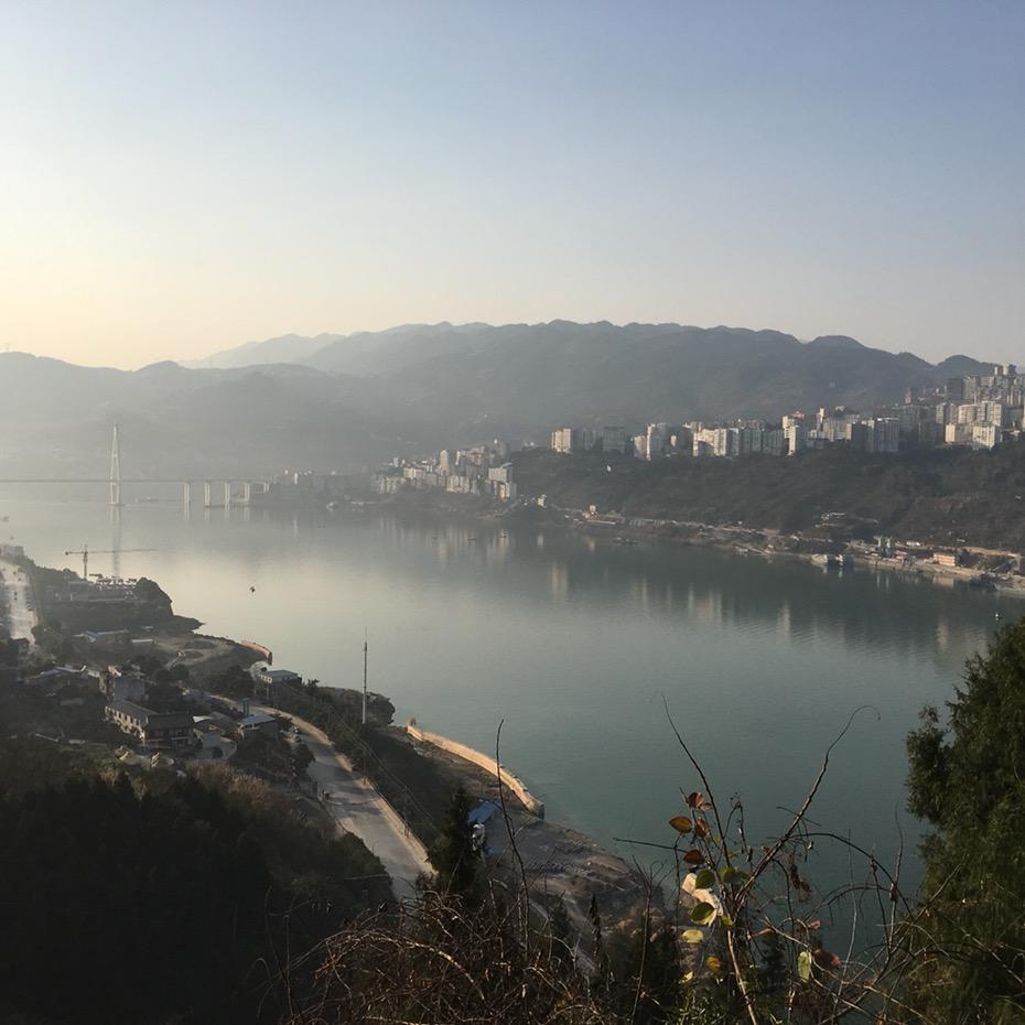 悠悠乐心