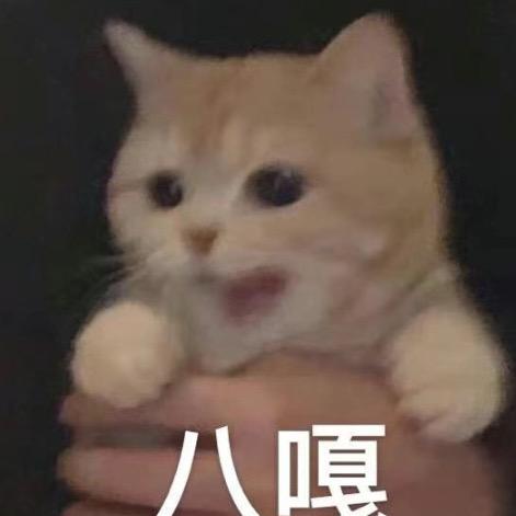 猫了个me