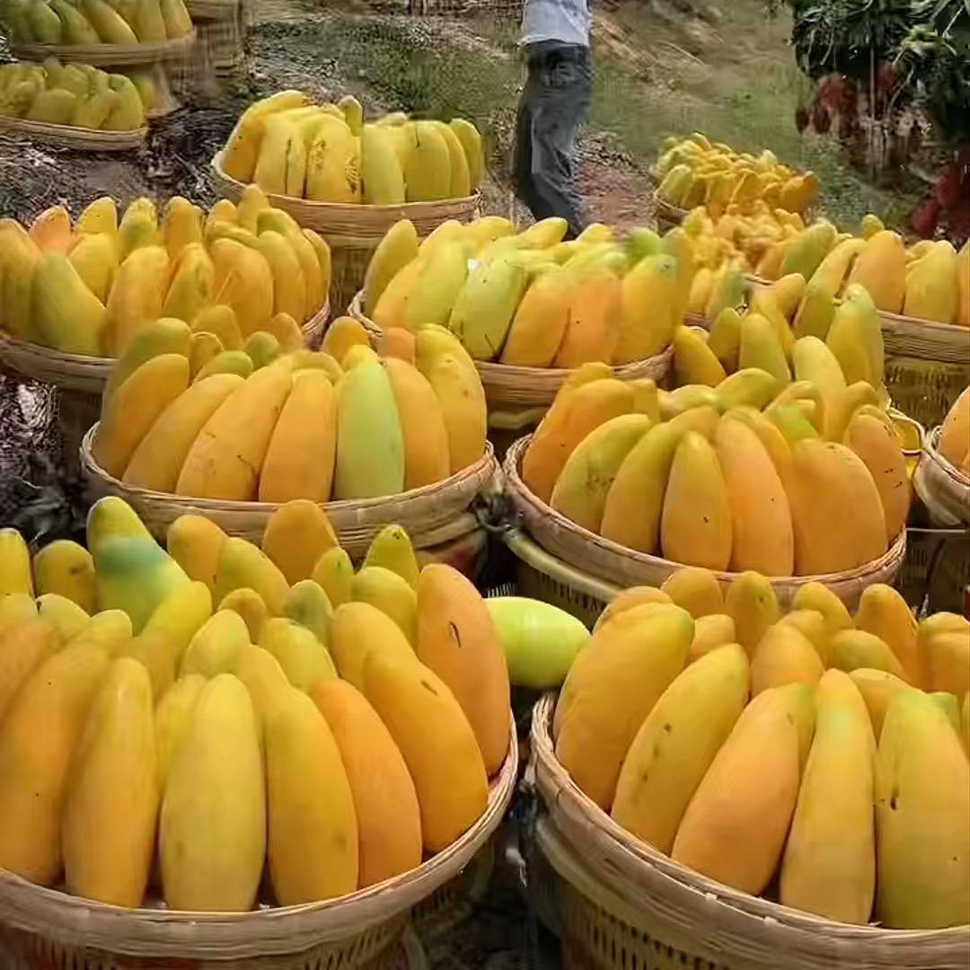 渡人三分