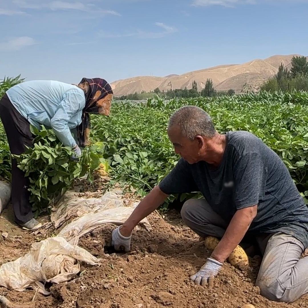 甘肃山妹农产品