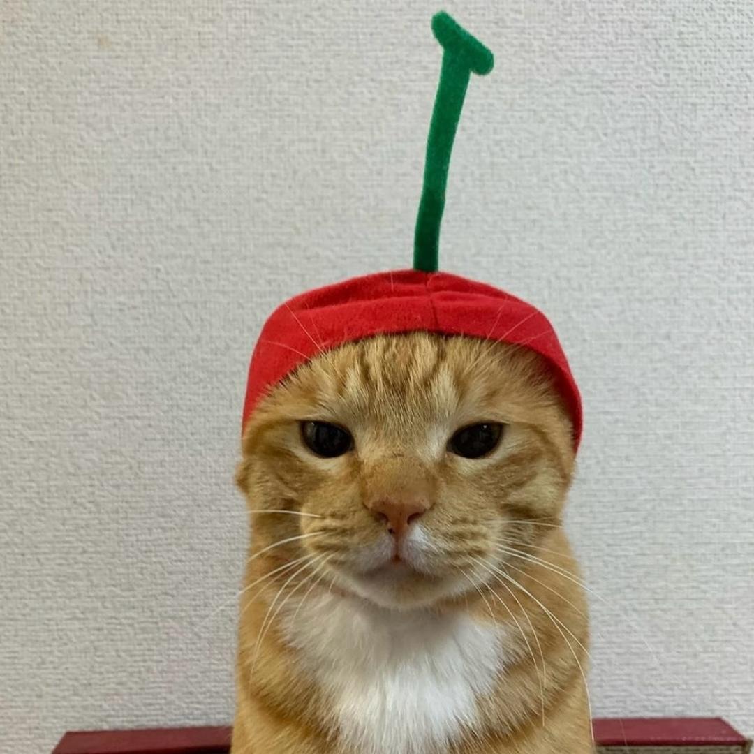 友好邻居蜘蛛侠