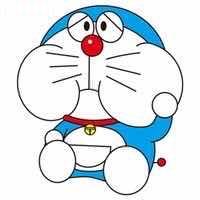 滋补品营养品      琳儿