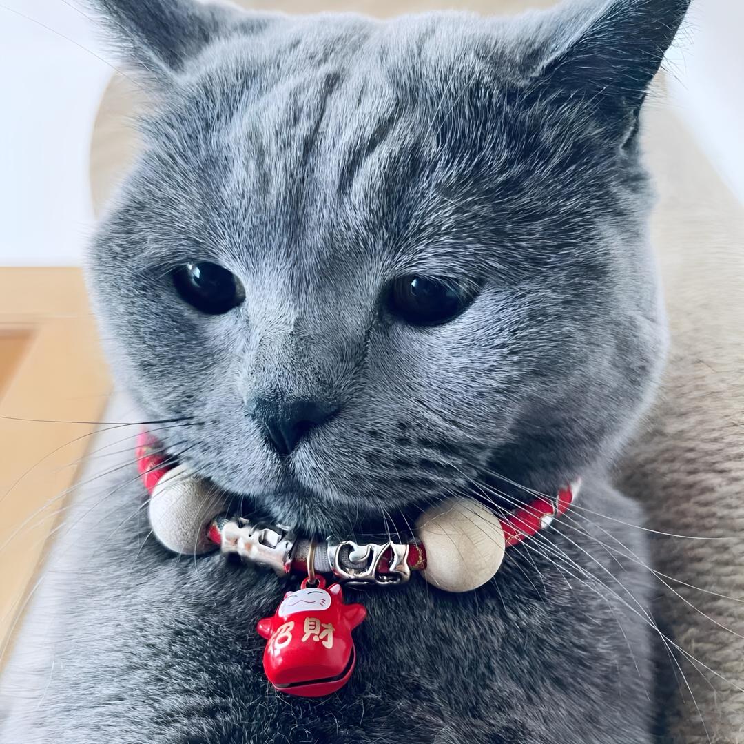 吉祥招财