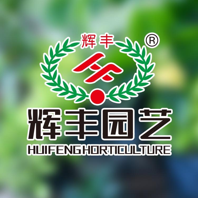 辉丰园艺