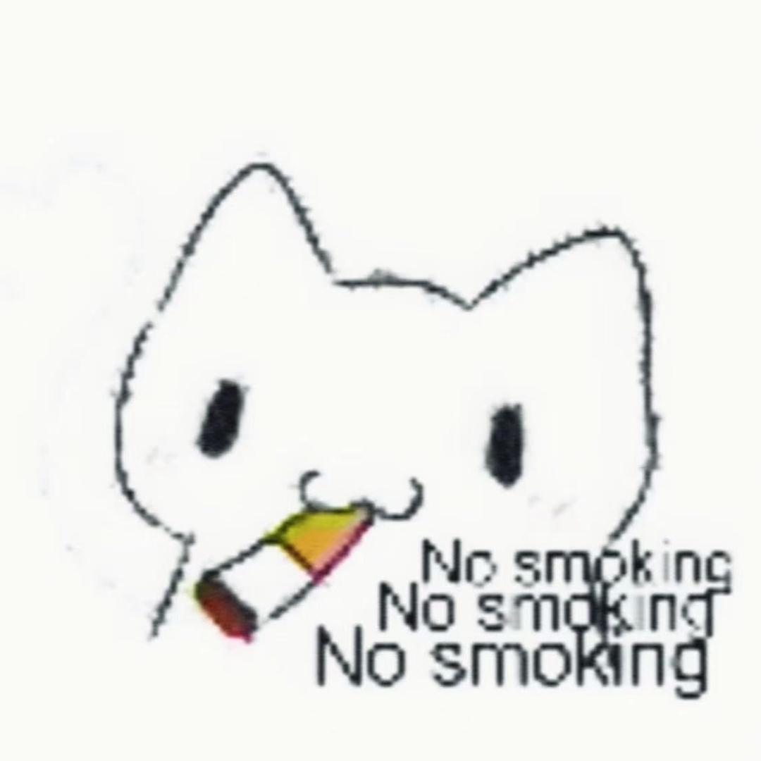 汪喵
