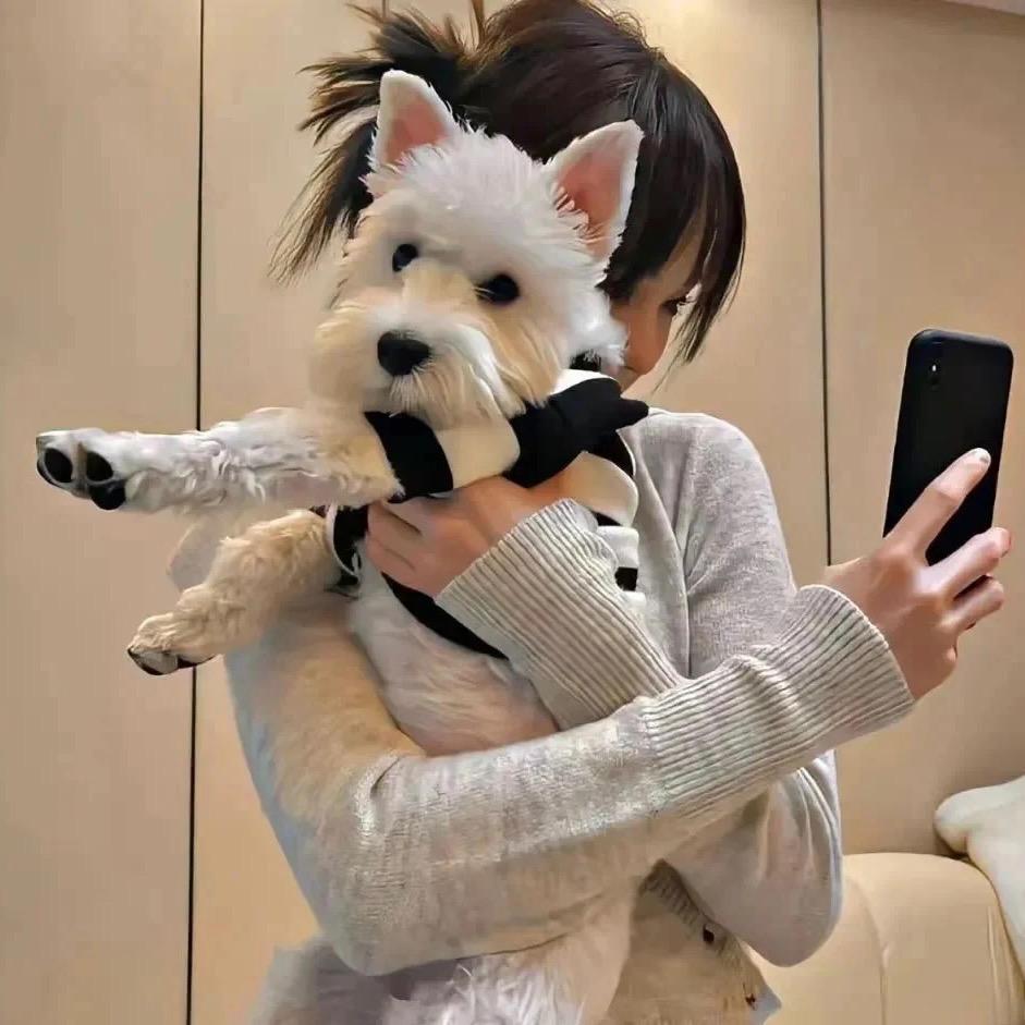 脾气大有问题吗