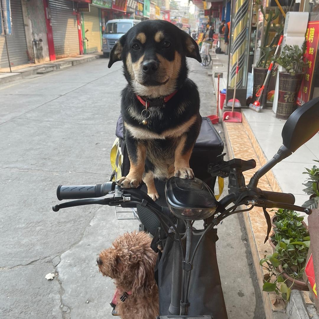 💘别入戏太深&伤自己^_^💘🌈