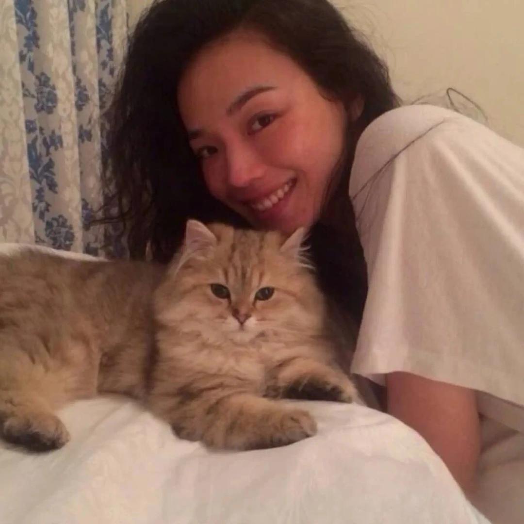 羊村你懒哥