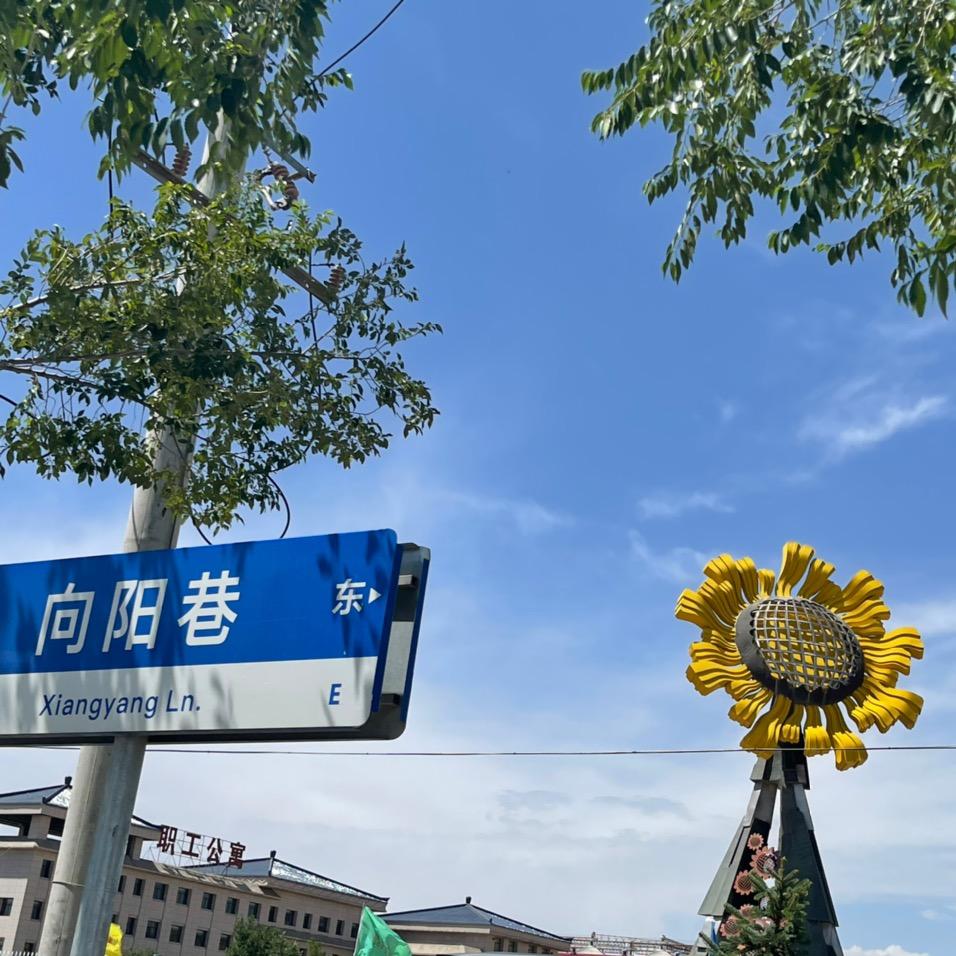 常常常常老师