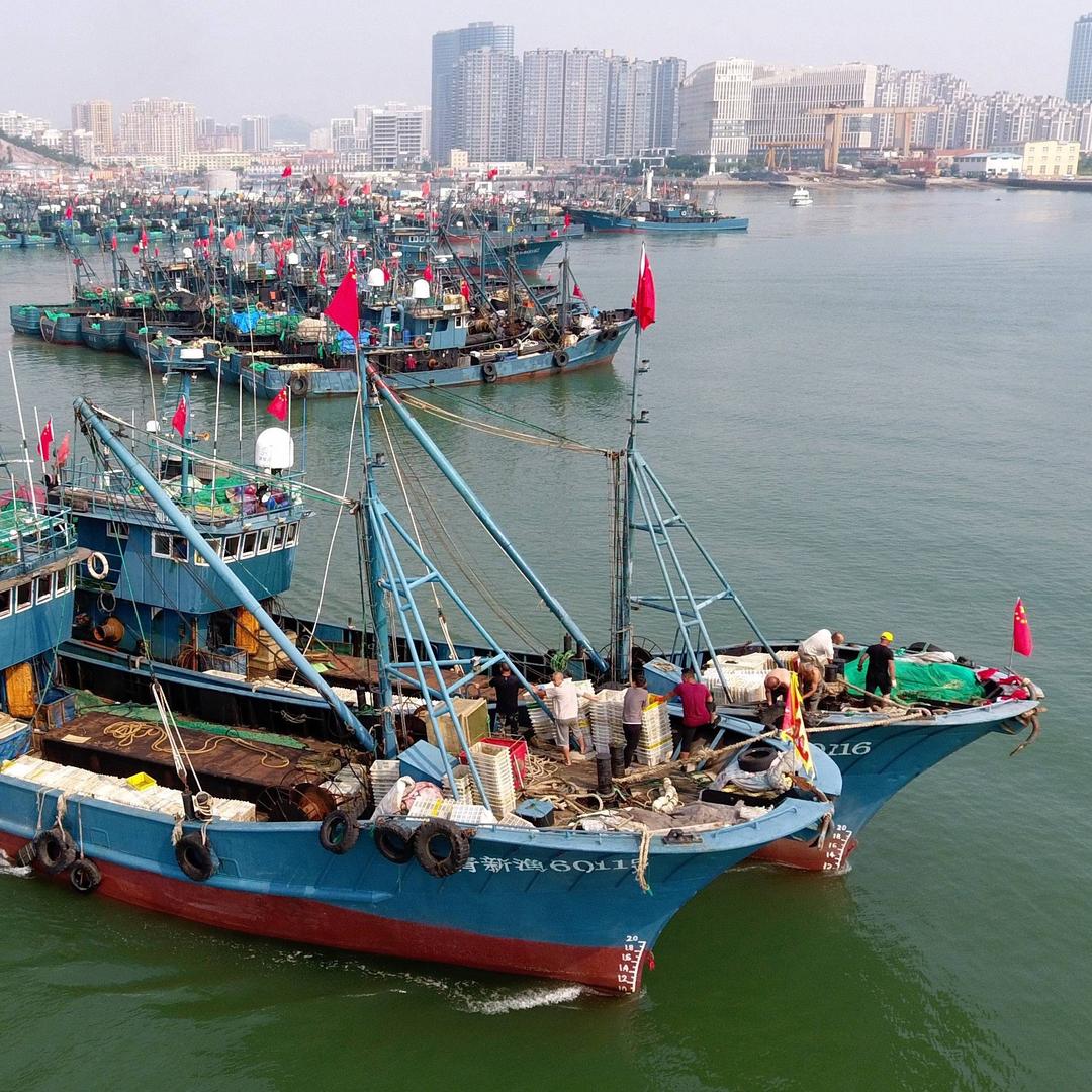 甄道海鲜的头像