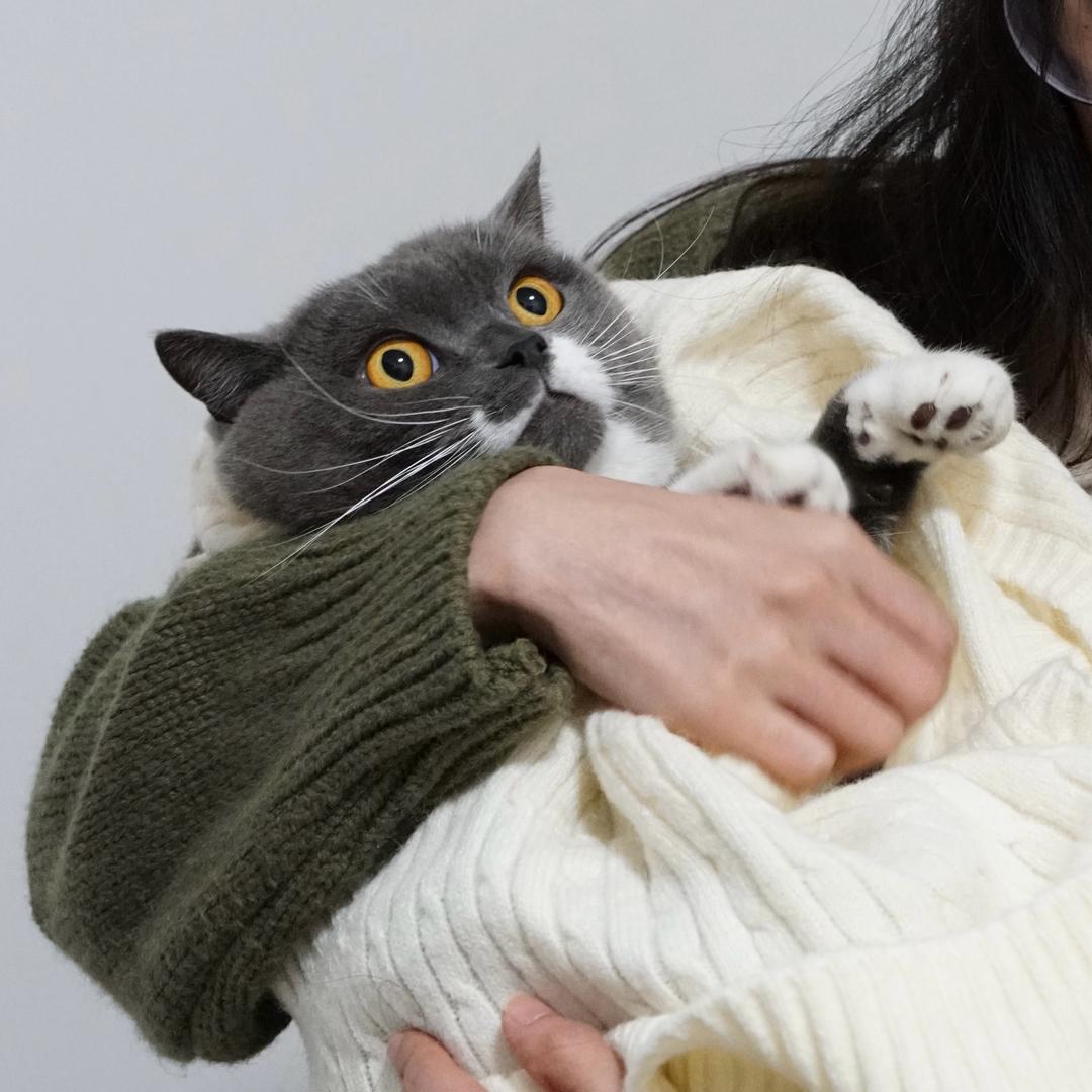 不惊不惊呀！