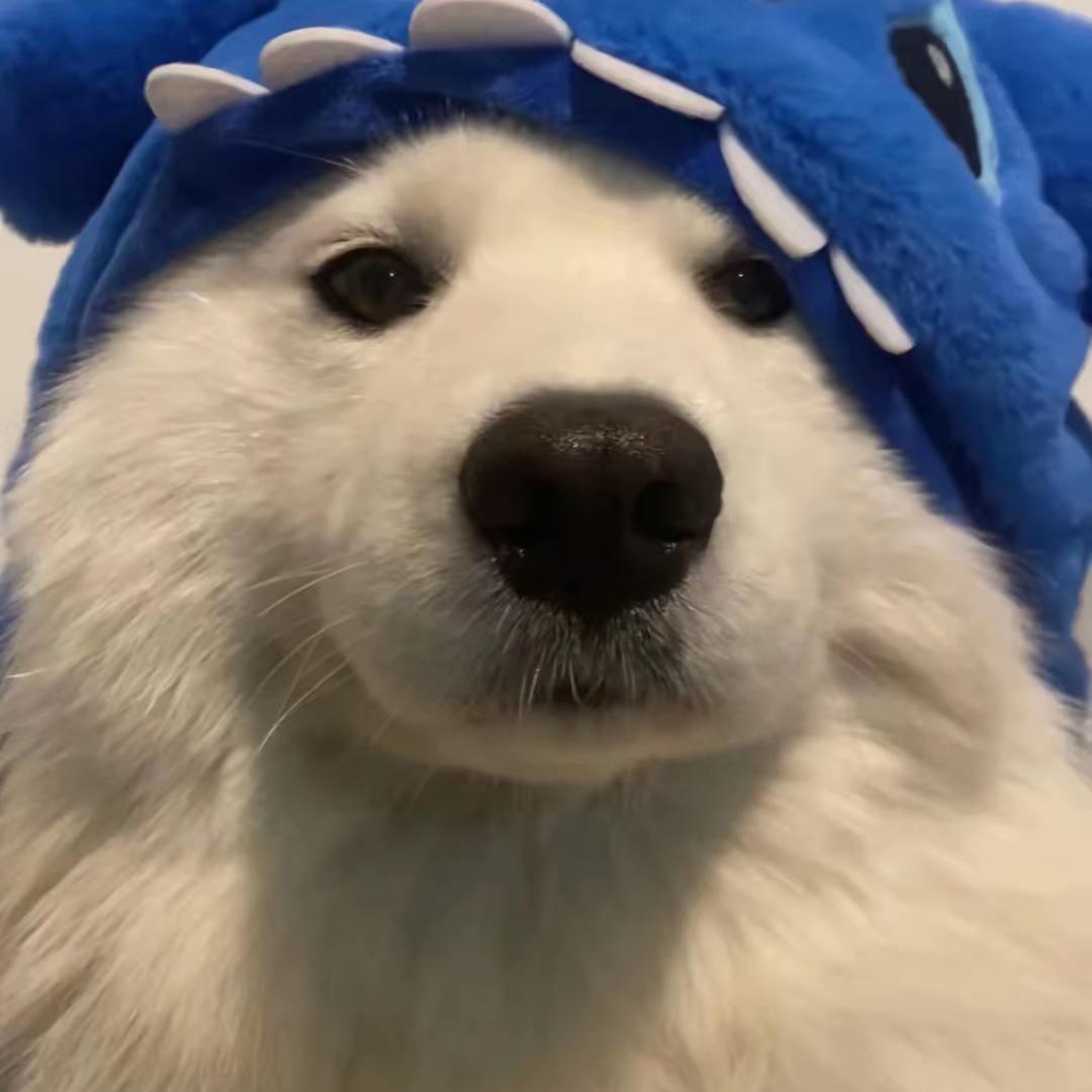 枫