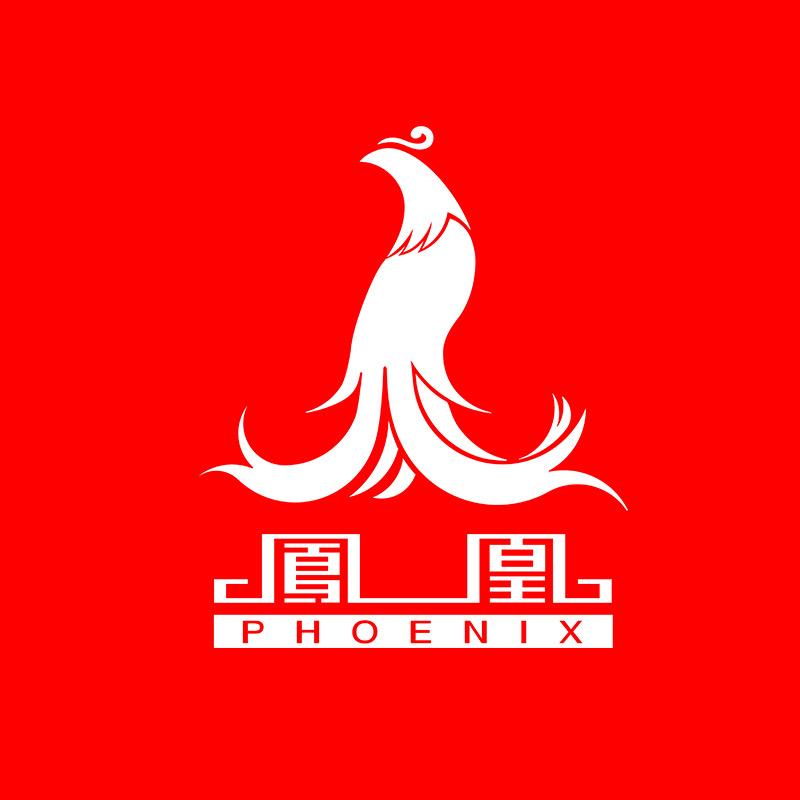 凤凰自行车摩托车旗舰店