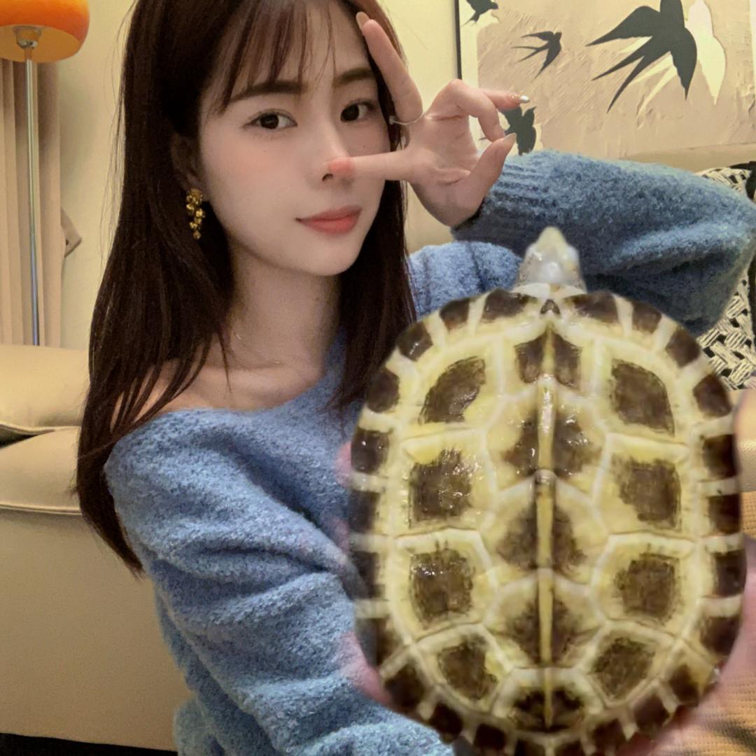 华霖龟龟
