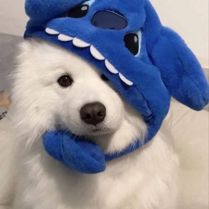 小彻