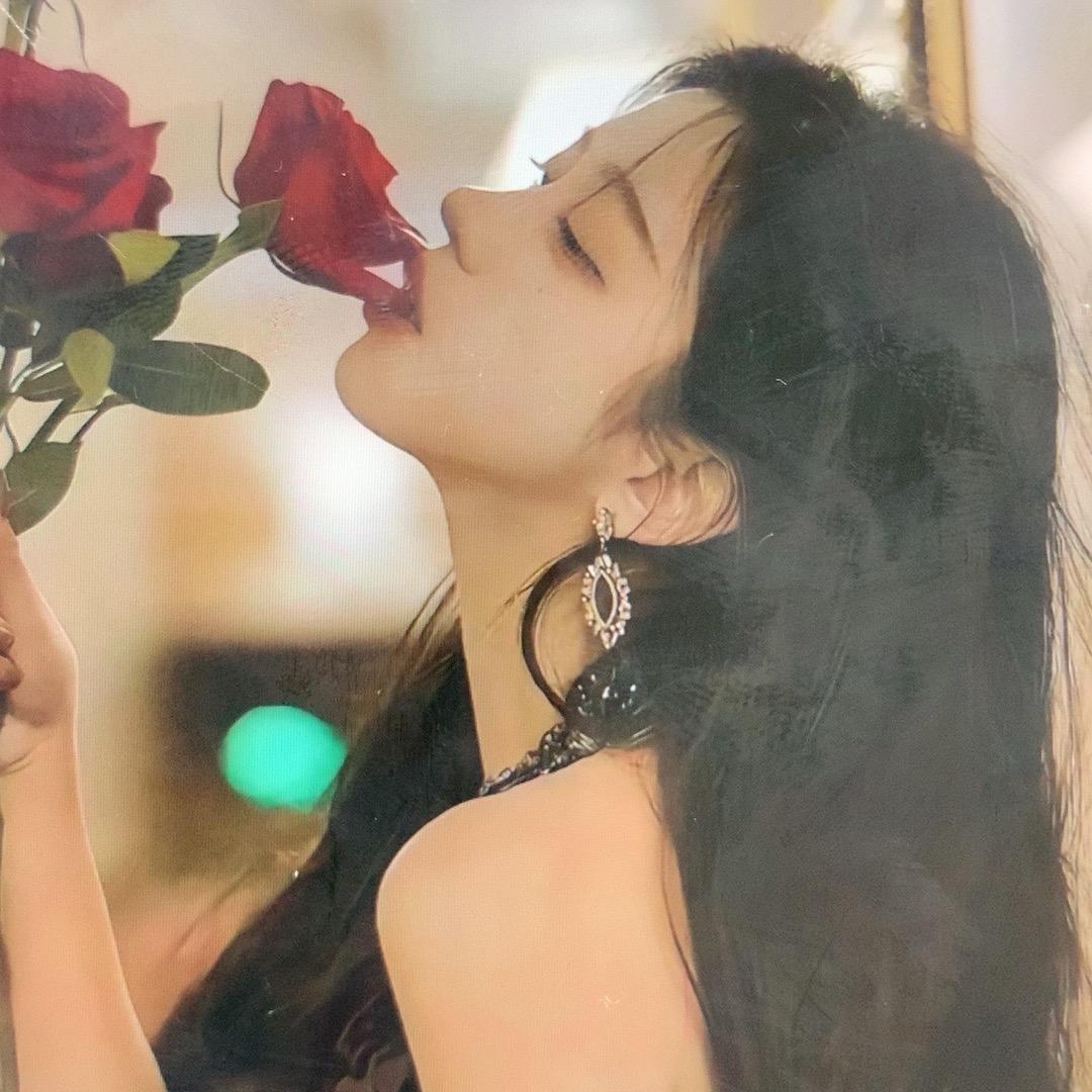 白玫瑰💕