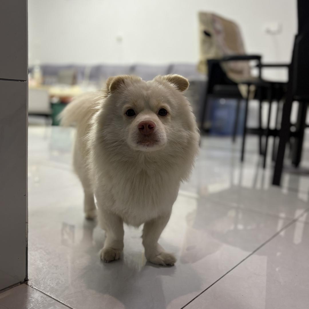 昌泰生鲜2店高端水果