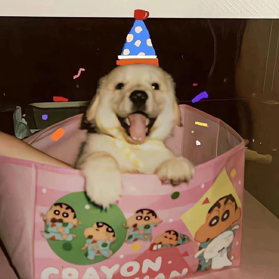 一根开心快乐的猫毛