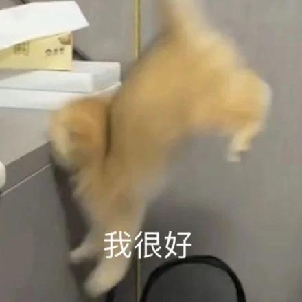 AAA建材王哥