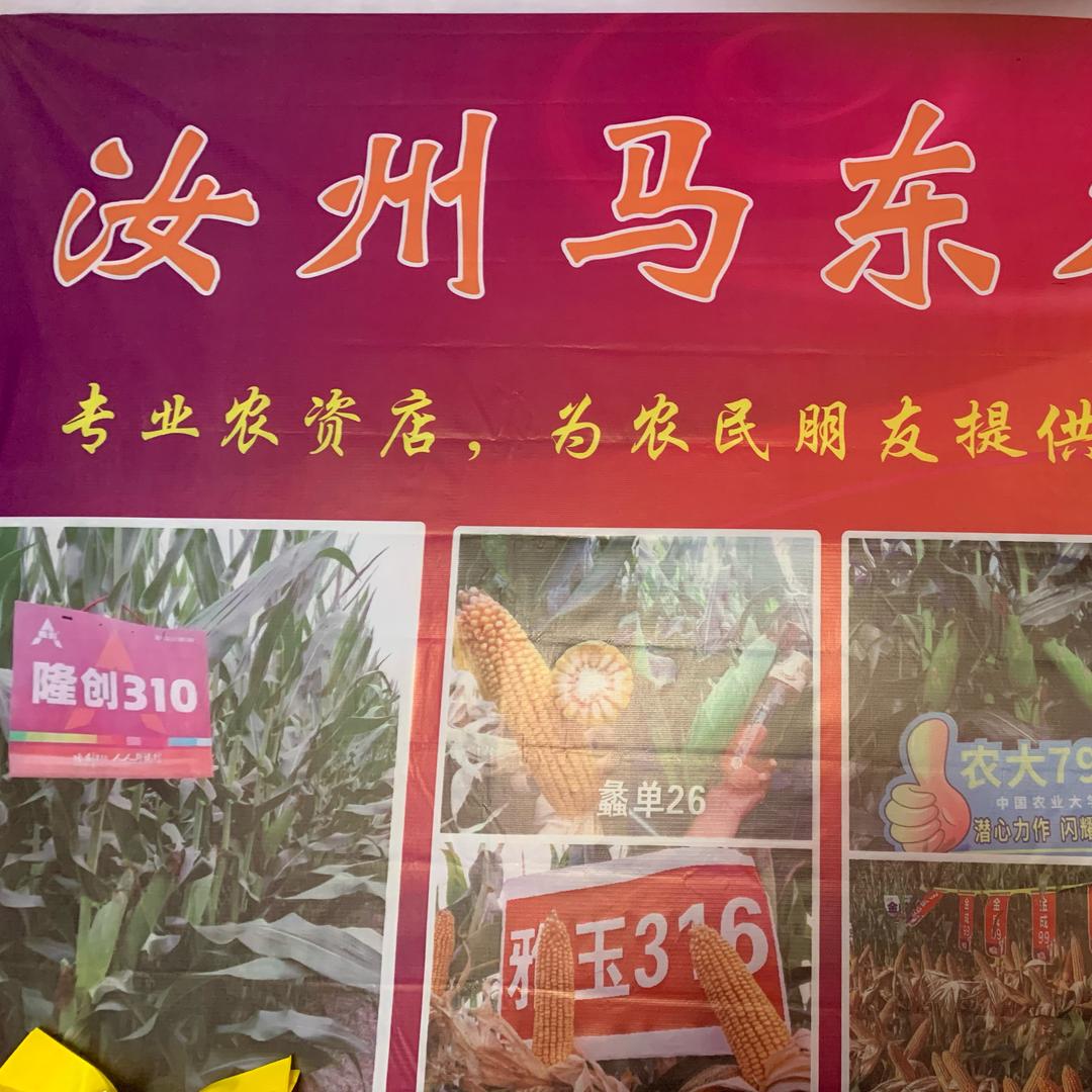 马东农资