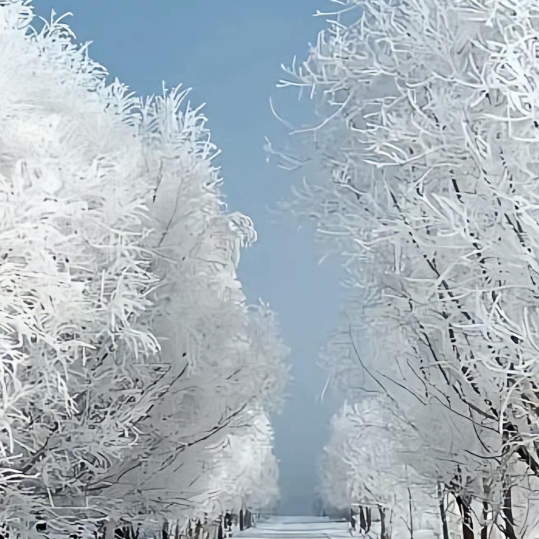 嘉兴木朵菲服饰店