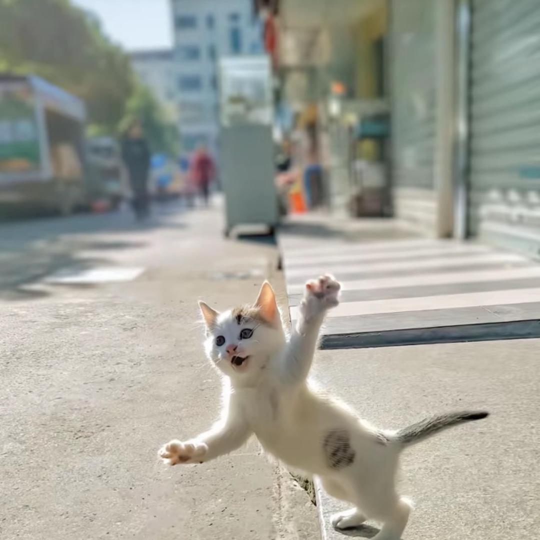 是春天的味道呀