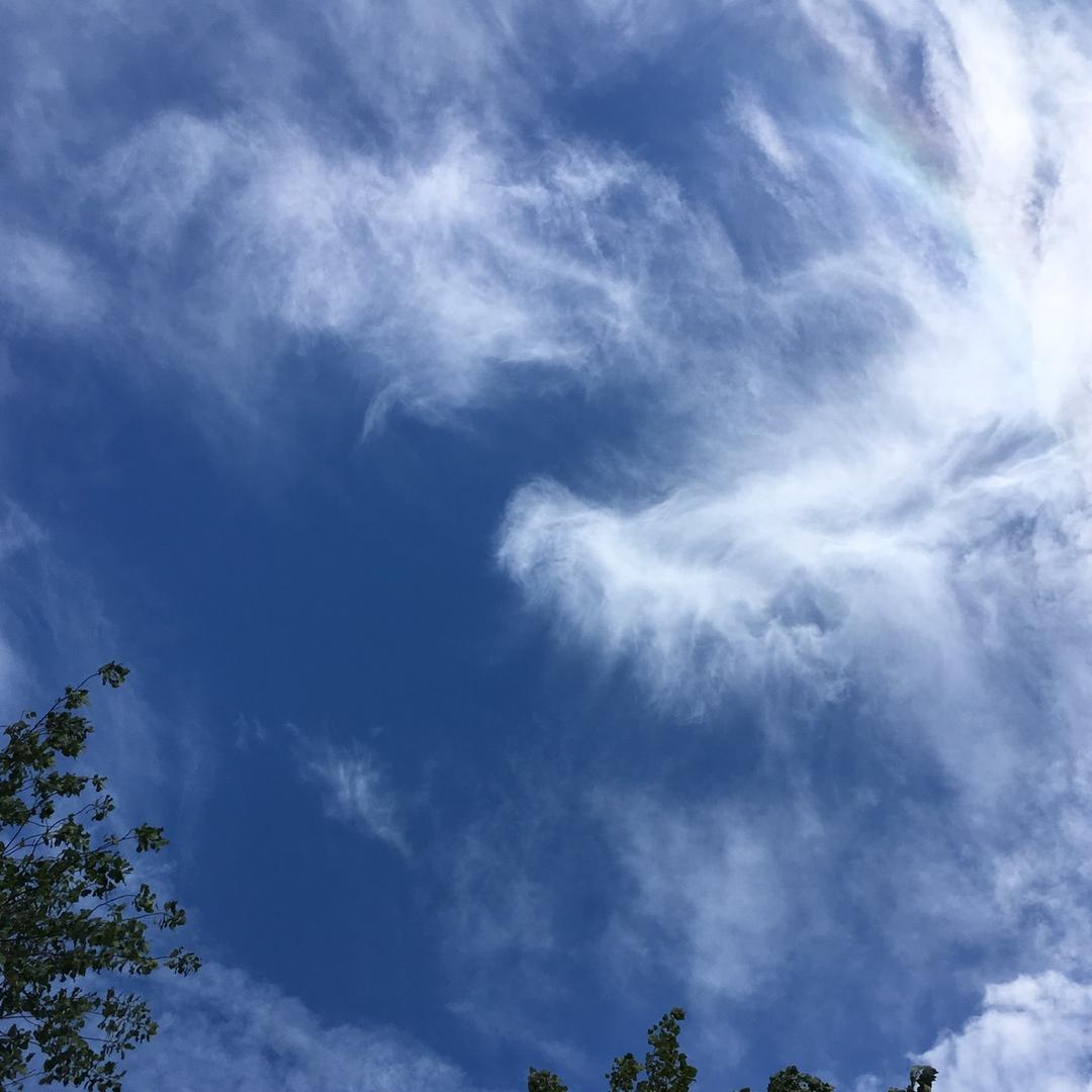 🌈……☀️