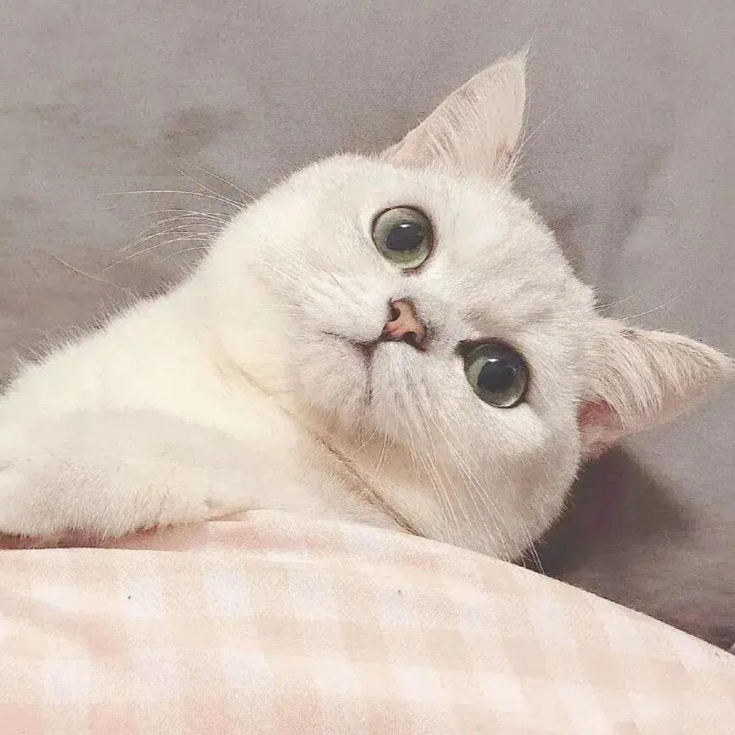 咪咕^