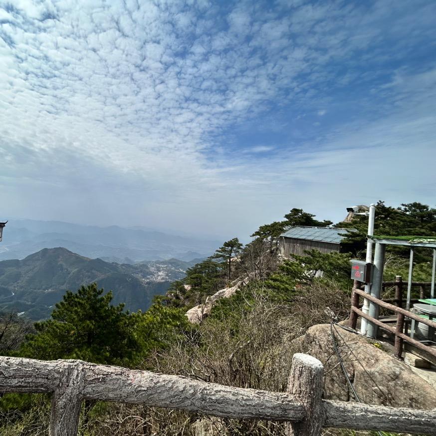 王展博