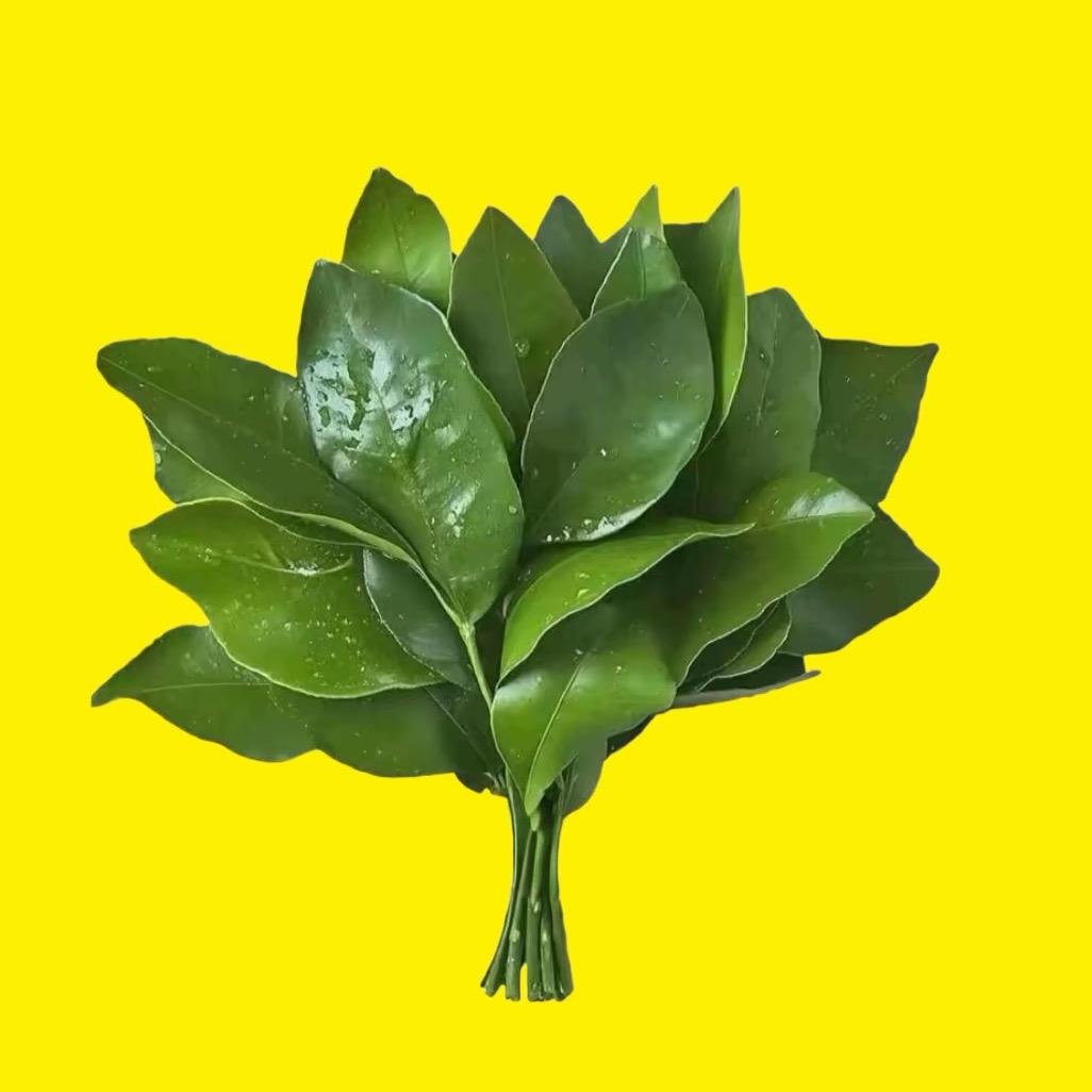 💞木木💞