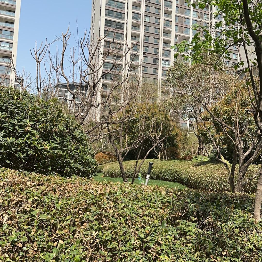 嘉嘉-