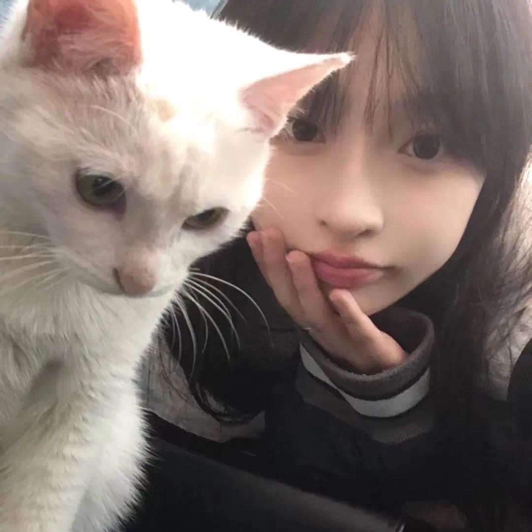 y6