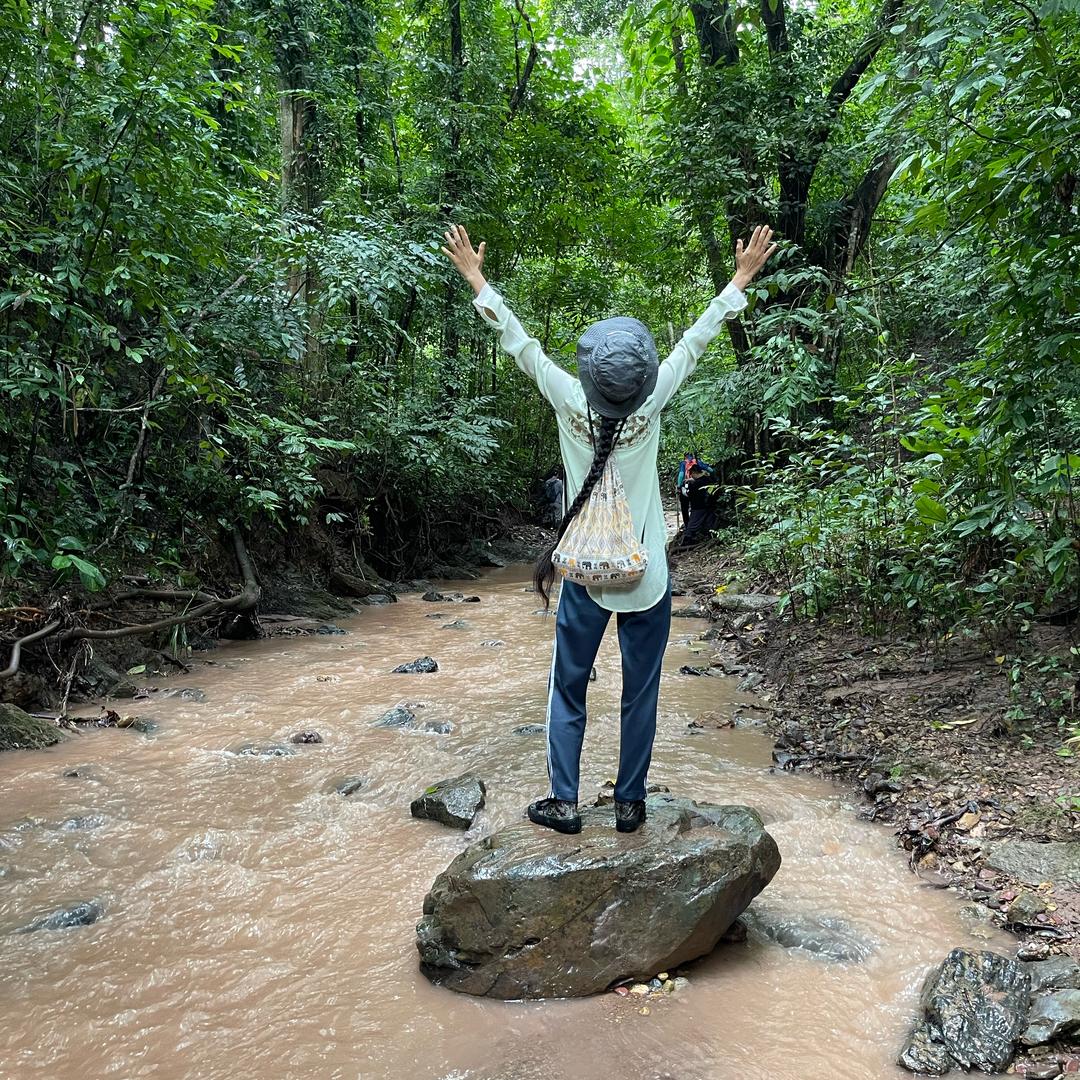 基诺山雨林徒步推荐官芳姐