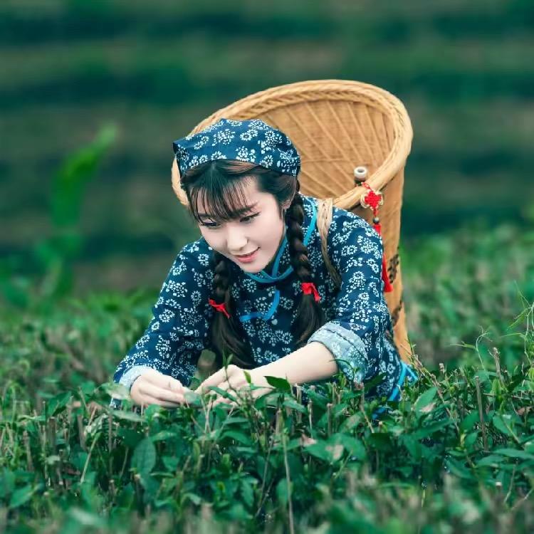 一韬生物农资专营店
