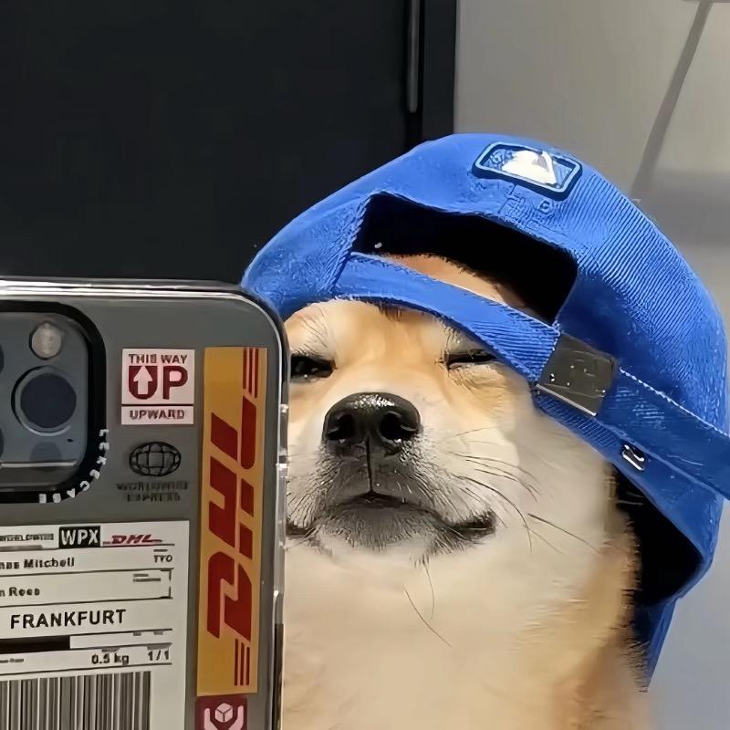 散.