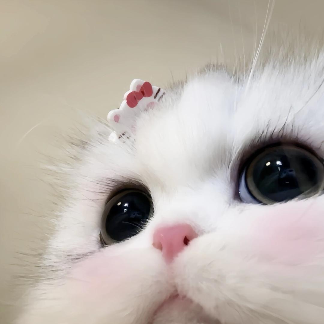 puddingyy