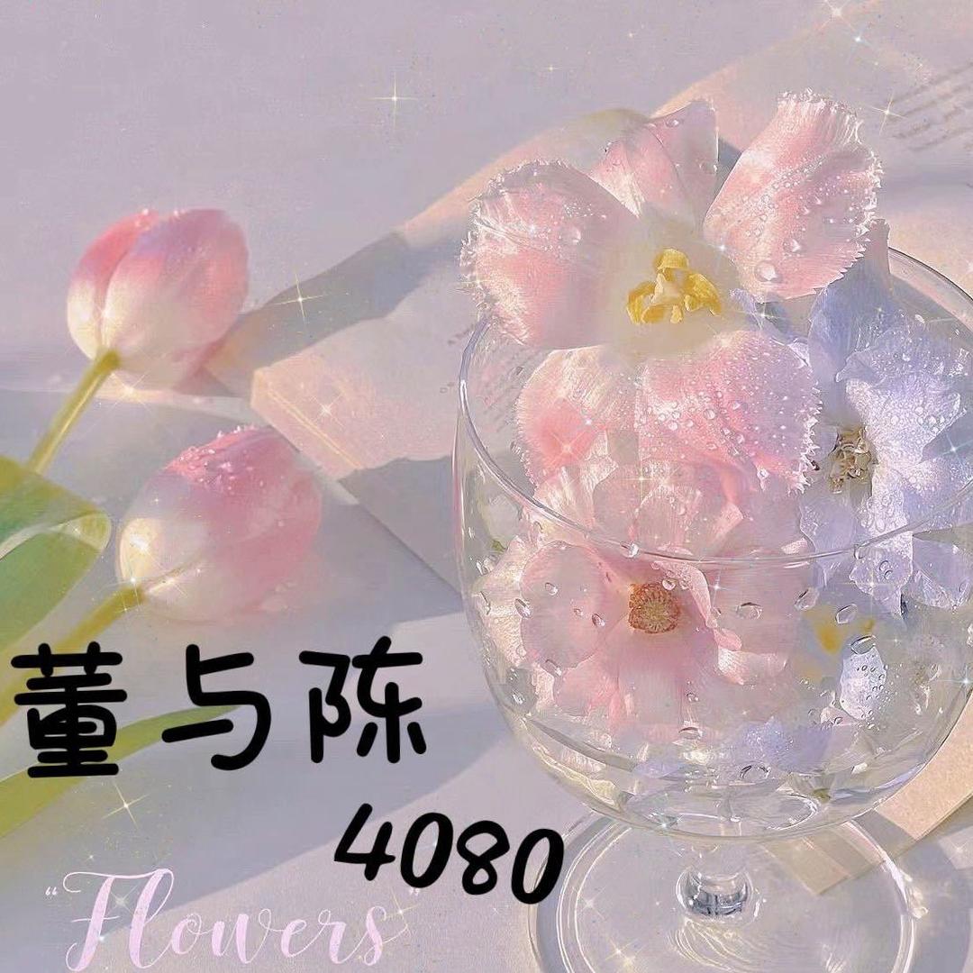 老意法4080董与陈