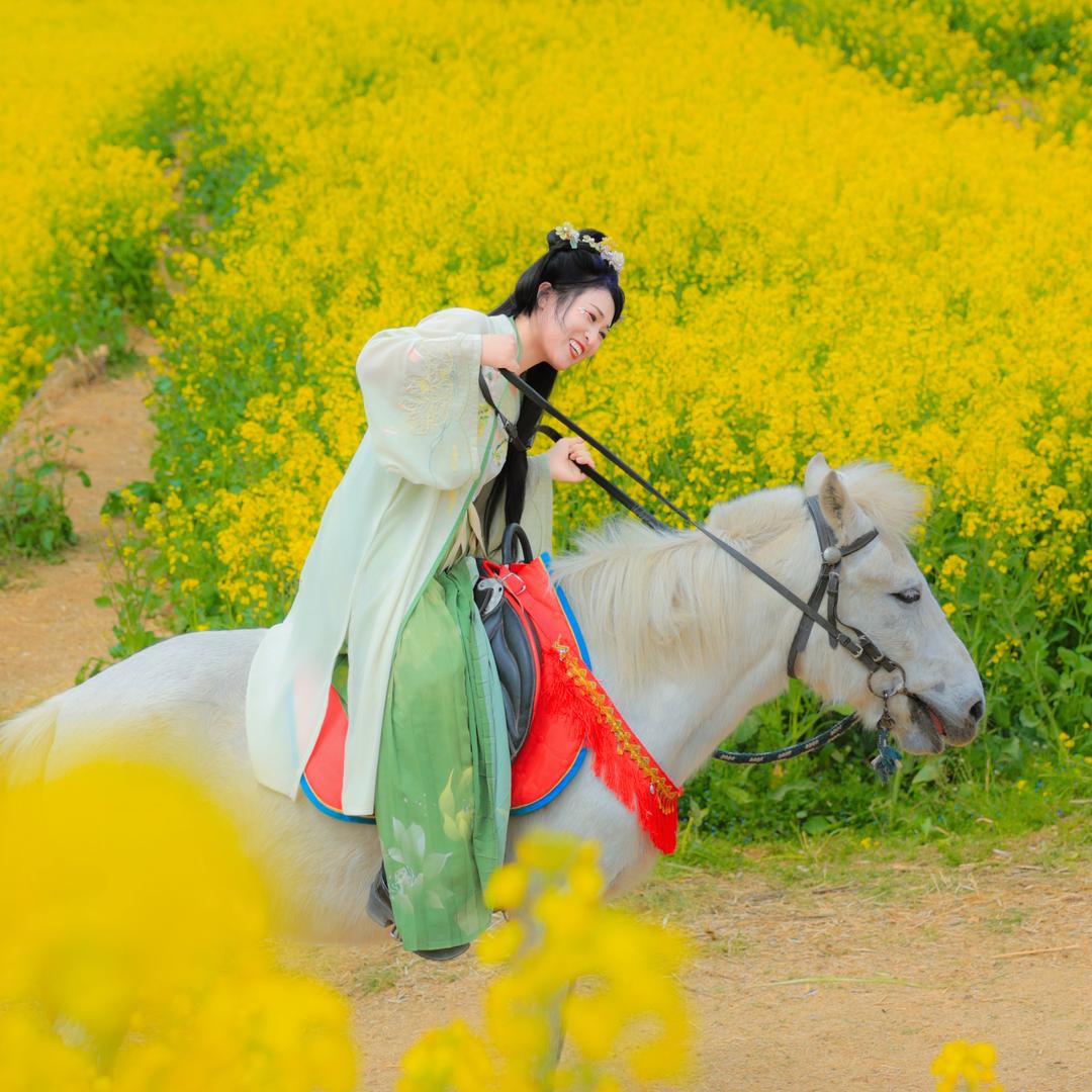 陕西聪聪一线牵文化传媒有限公司